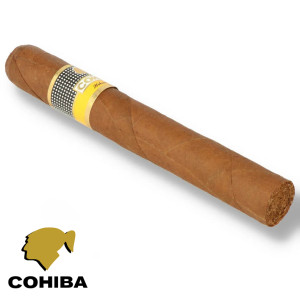 Charuto Cohiba Siglo VI sergipe, Charuto Cohiba Siglo VI aracaju