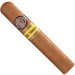 Charuto montecristo wide edmundo sergipe, Charuto montecristo wide edmundo aracaju