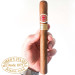 Charuto Romeo y Julieta Churchills sergipe, Charuto Romeo y Julieta Churchills aracaju